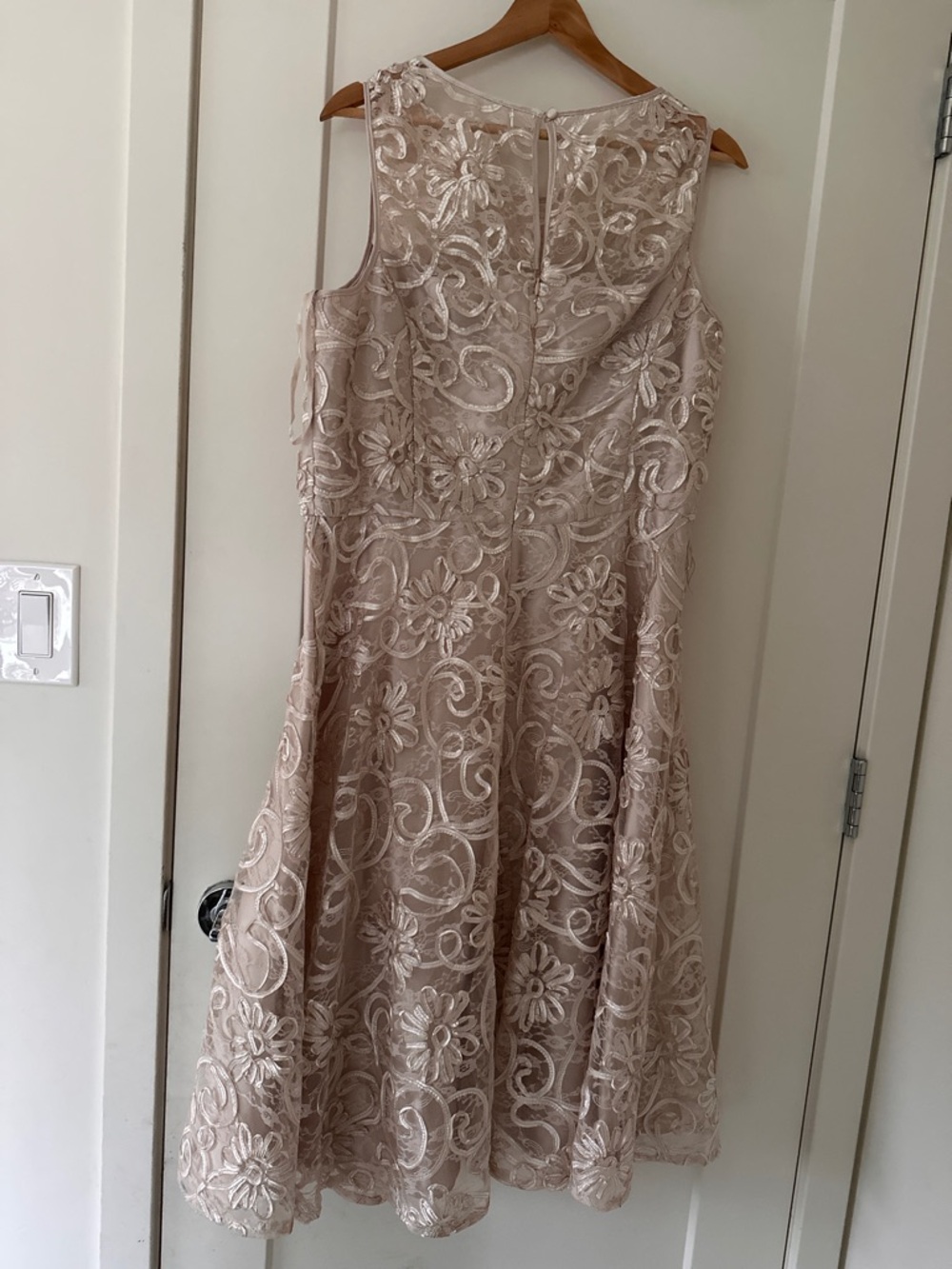Jessica Howard Blush Lace Fit & Flare Dress - Picture 2 of 6